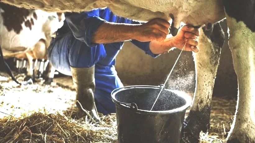 Süt Fiyatlarına Dev Zam Geliyor: Kesimler Rekor Kırdı! Market Rafları Alev Alacak - Resim : 2